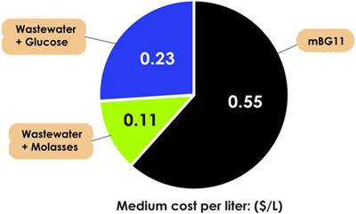 Unlocking microalgal host—exploring dark-growing microalgae transformation for sustainable high-value phytochemical production